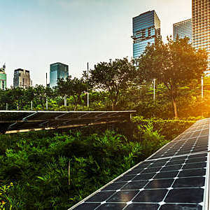 Solar panels surrounded by greenery in a modern city centre.